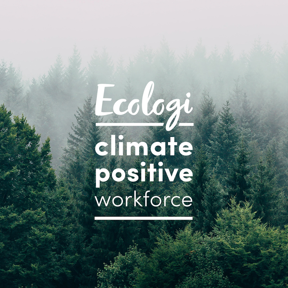 Indulge in Elegance: Red Wine and Dark Chocolate Gift Pack